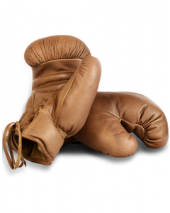 VINTAGE LEATHER BOXING GLOVES